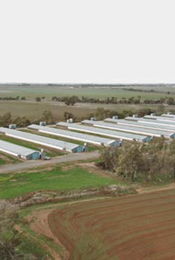 Водоподготовка для кормовой воды птицефермы, Австралия